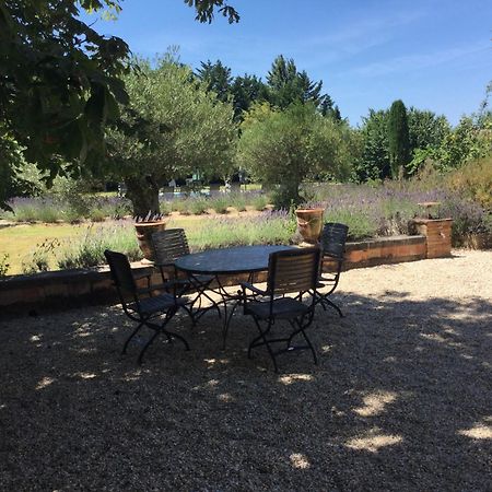 Typical Provencal Farm House Close To L'Isle Sur La Sorgue - 12 Persons كافايو المظهر الخارجي الصورة