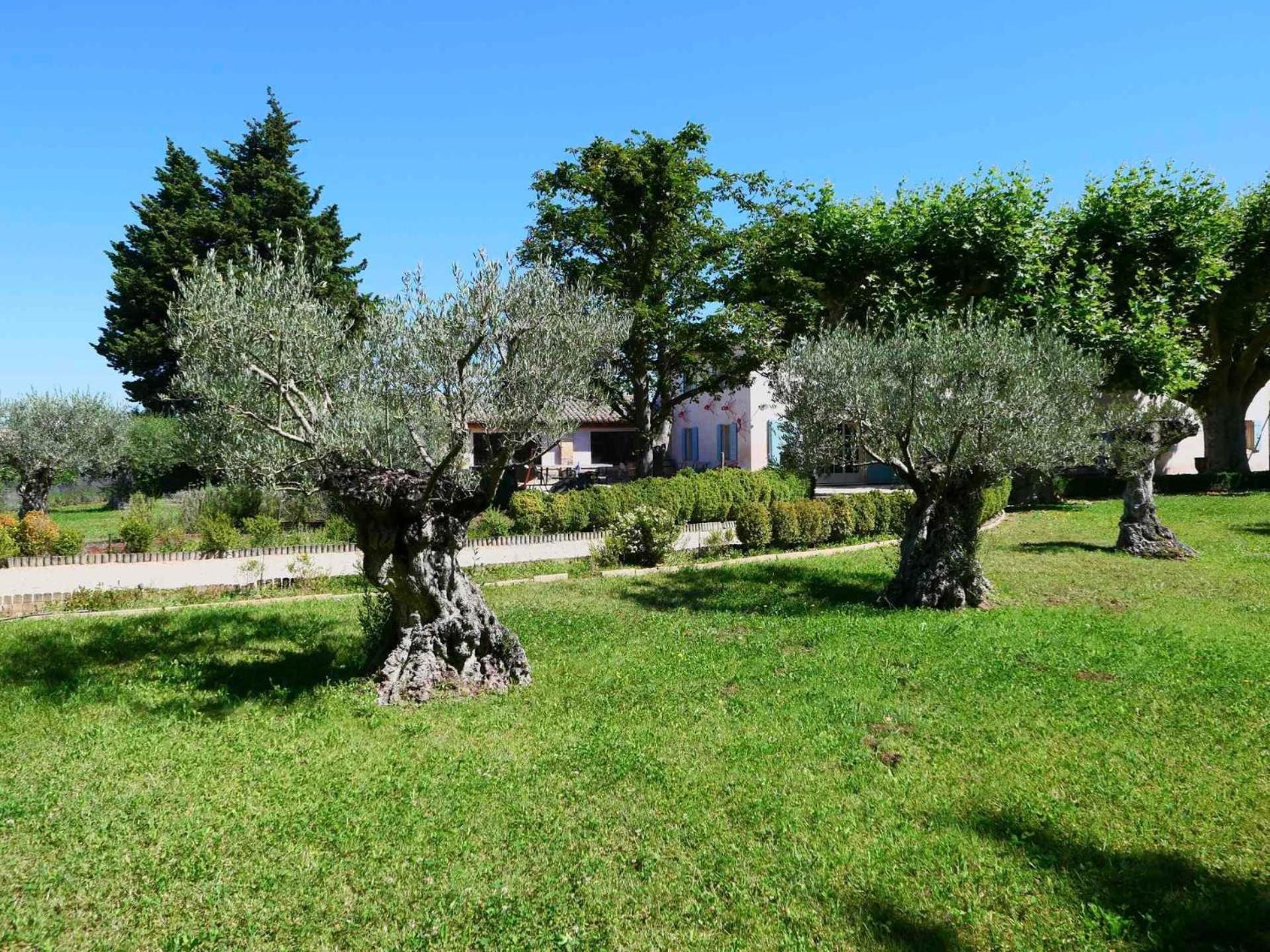 Typical Provencal Farm House Close To L'Isle Sur La Sorgue - 12 Persons كافايو المظهر الخارجي الصورة