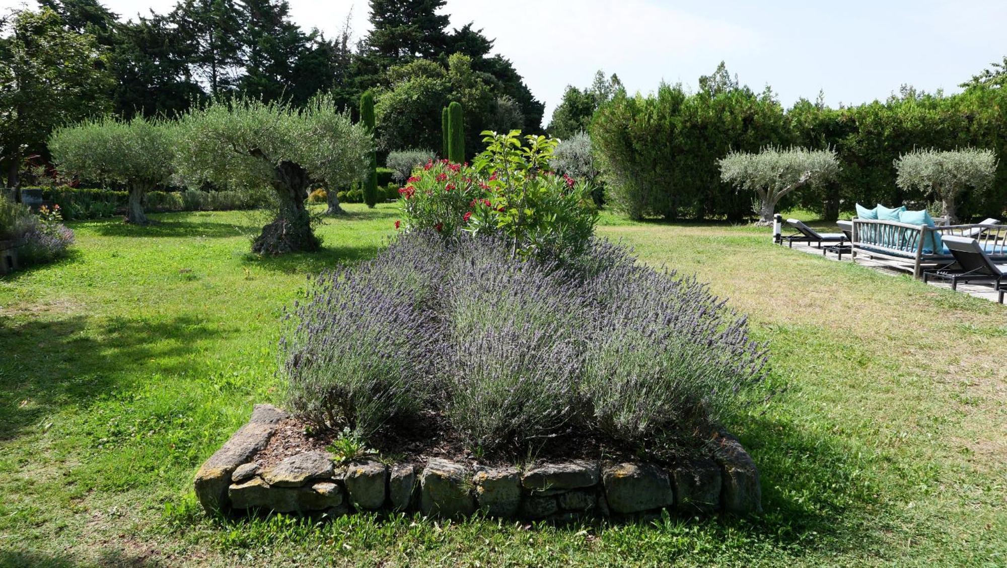 Typical Provencal Farm House Close To L'Isle Sur La Sorgue - 12 Persons كافايو المظهر الخارجي الصورة