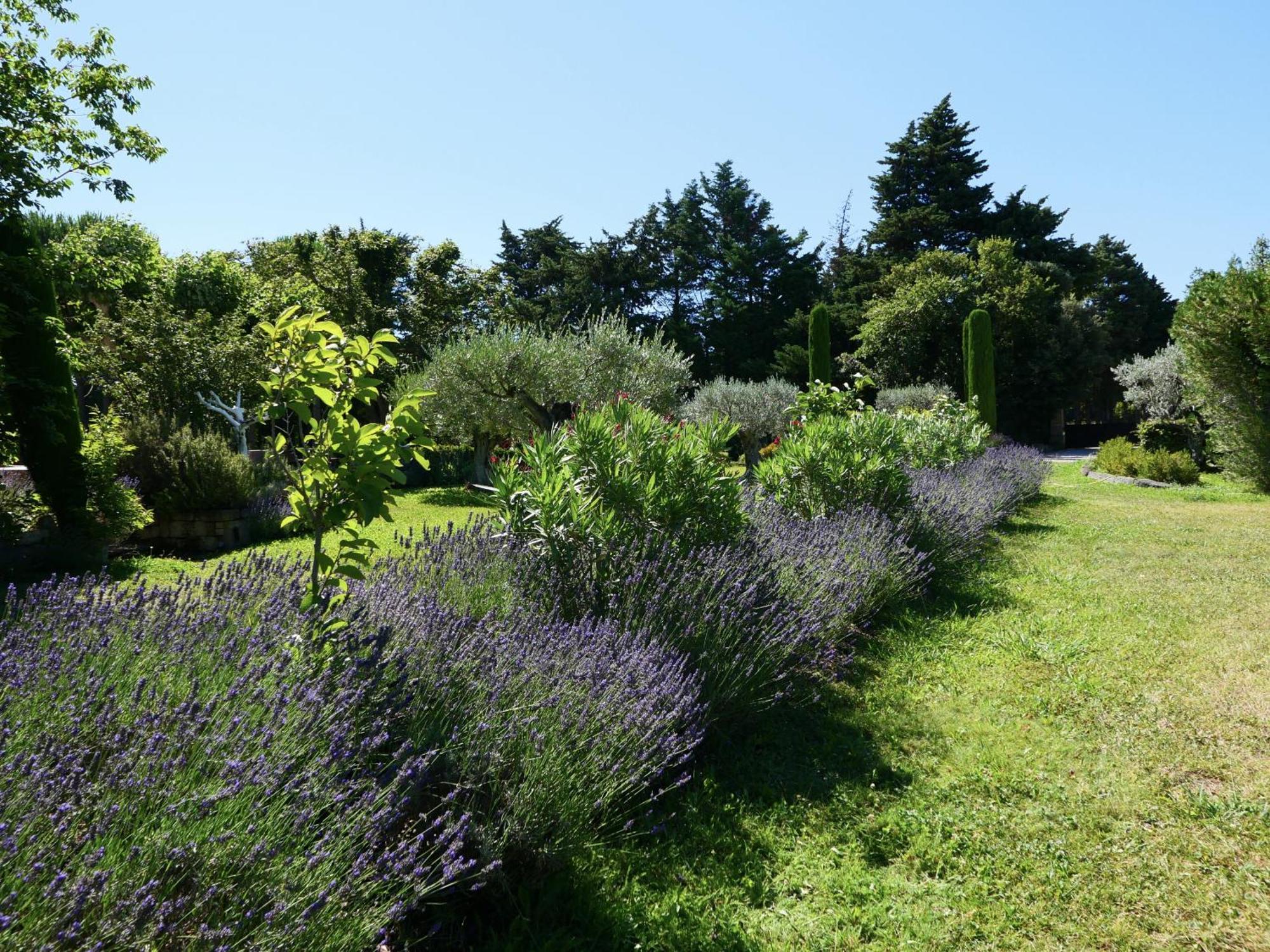 Typical Provencal Farm House Close To L'Isle Sur La Sorgue - 12 Persons كافايو المظهر الخارجي الصورة