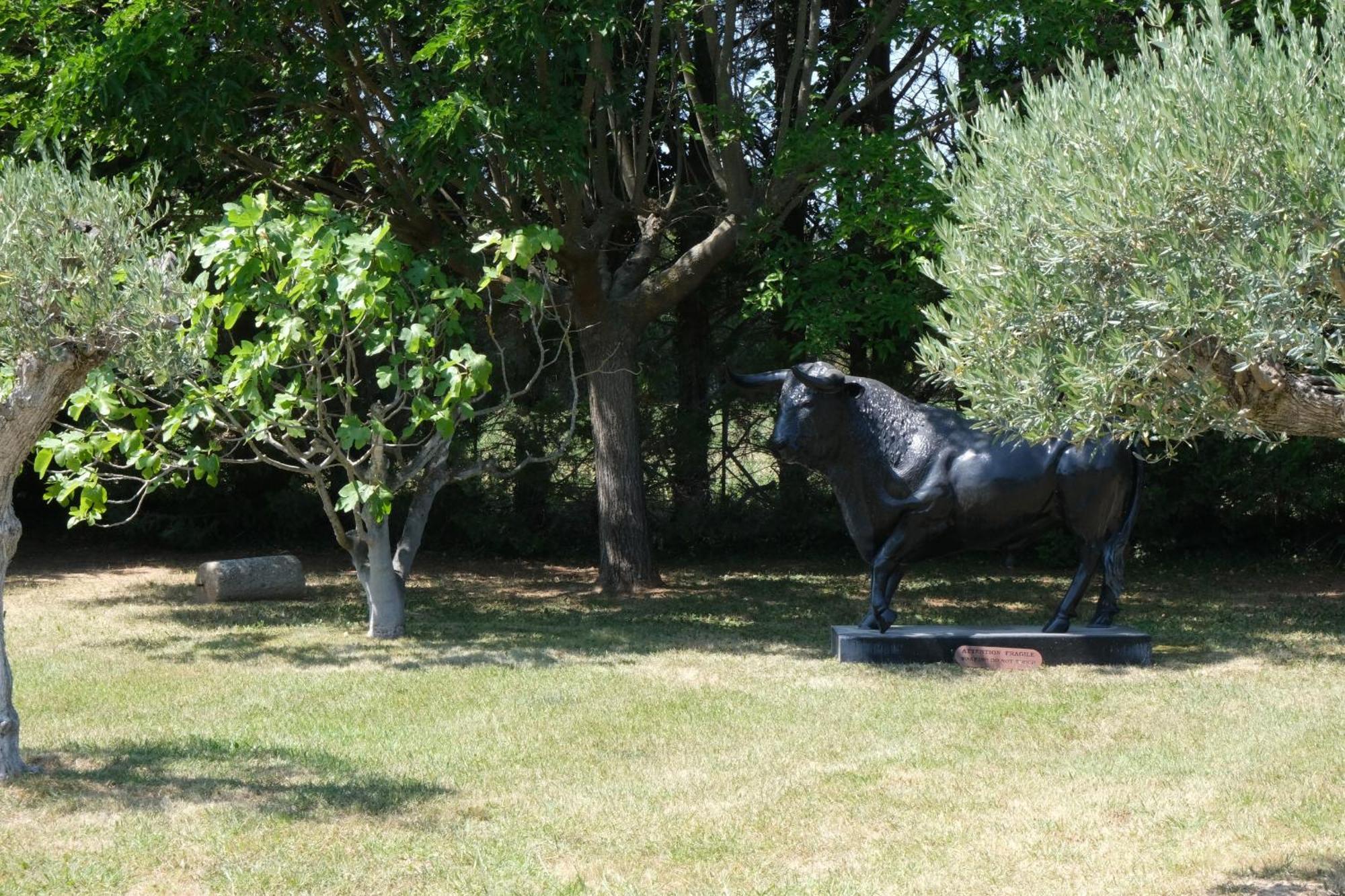 Typical Provencal Farm House Close To L'Isle Sur La Sorgue - 12 Persons كافايو المظهر الخارجي الصورة