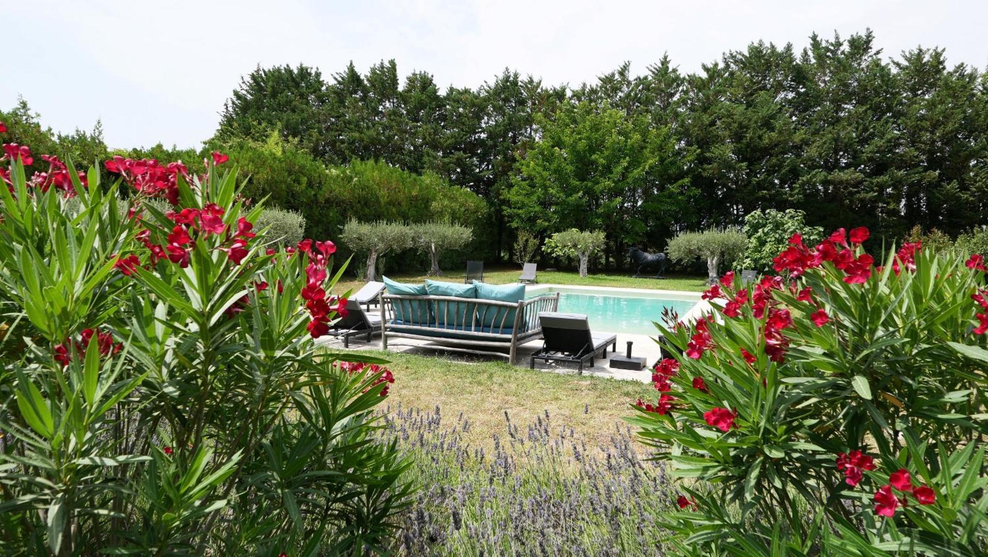 Typical Provencal Farm House Close To L'Isle Sur La Sorgue - 12 Persons كافايو المظهر الخارجي الصورة