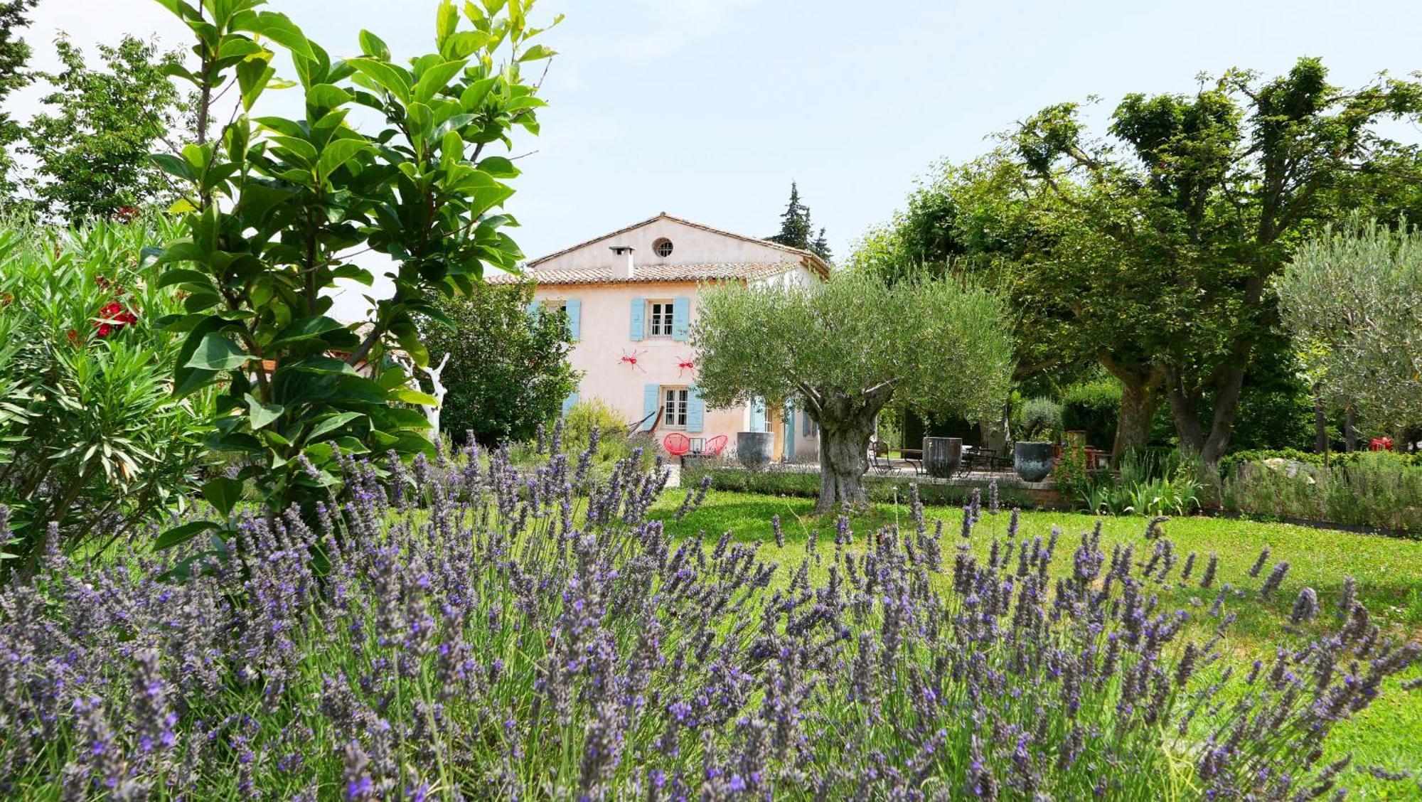 Typical Provencal Farm House Close To L'Isle Sur La Sorgue - 12 Persons كافايو المظهر الخارجي الصورة